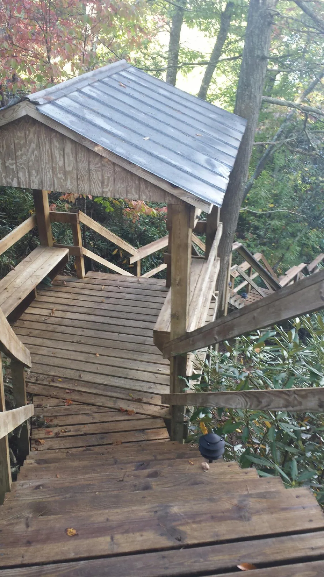 Metal roofed shelter over wooden steps on a wooded walkway — Skylight Repair & Installation work by our crew in Bellingham